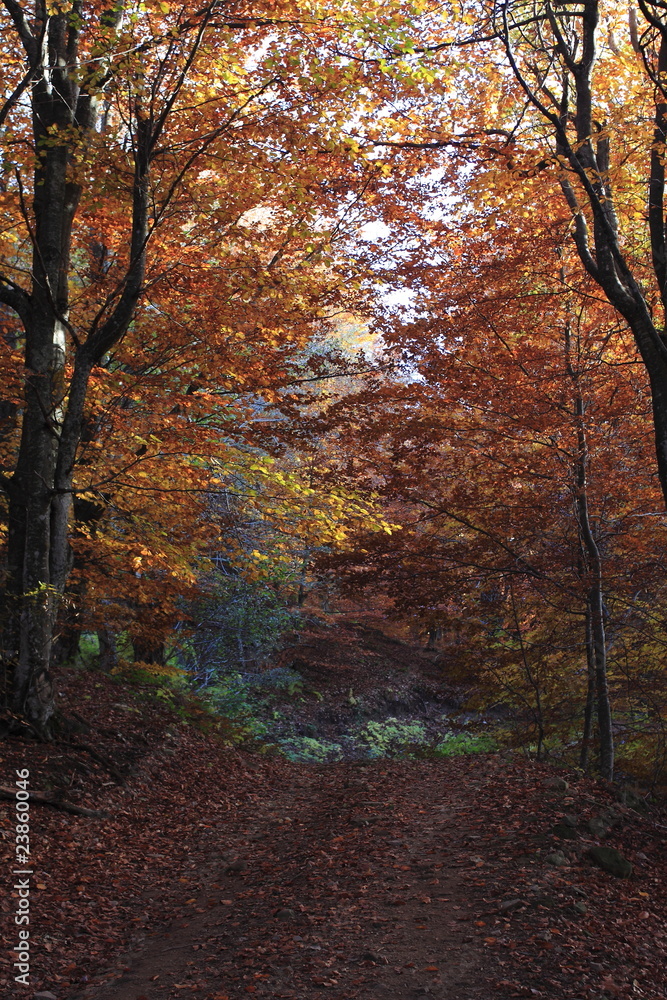 autunno autunno