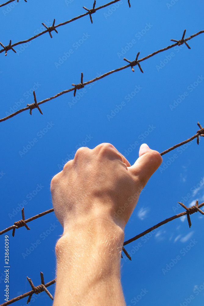 Fotografie Hand of prison