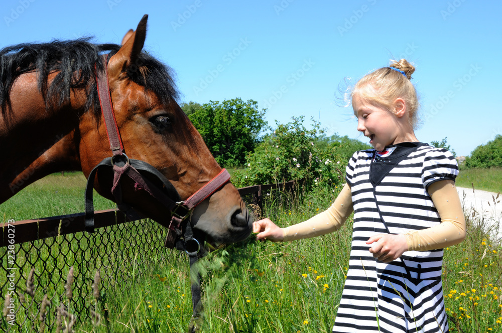 Obraz premium Girl feeding a horse