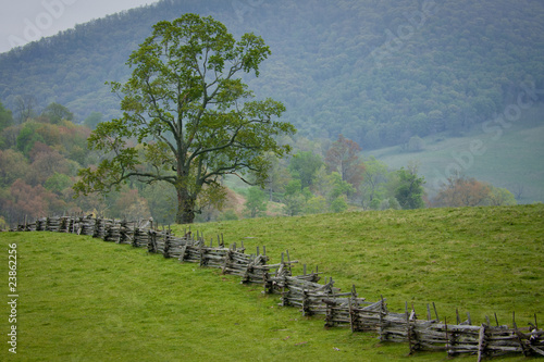 Split rail fence crosses a green pasture in the Virginia mountai