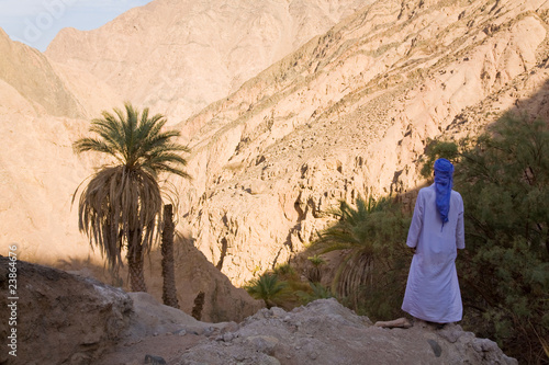 Canvas-taulu Egyptian bedouin