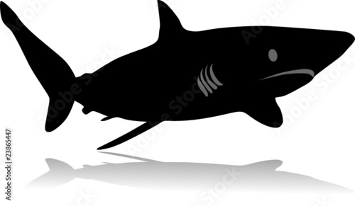 shark silhouette vector