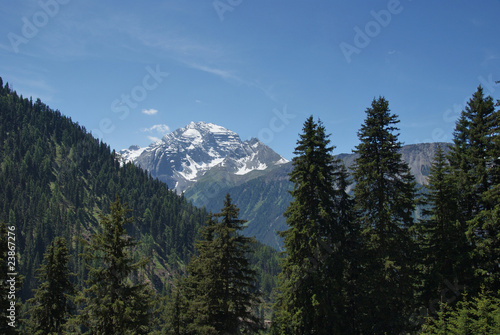 Alpenpanorama