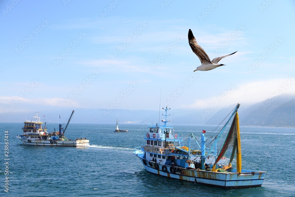 fishing boats