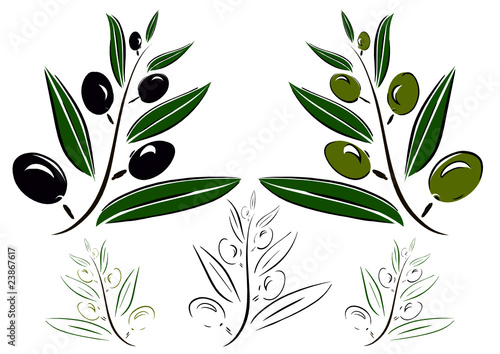 Olive branch, green olive vector drawing, black olive set
