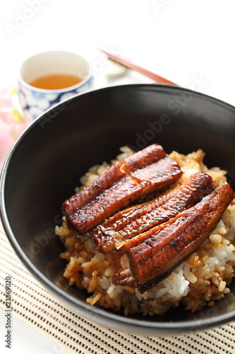 japanese cuisine, grilled eel on rice