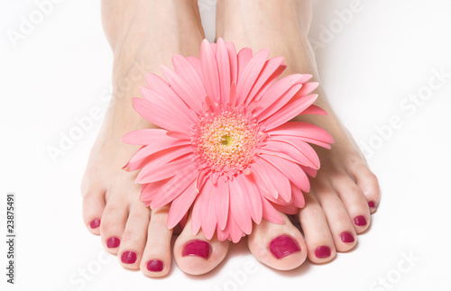 Feet with pink manicure and gerbera