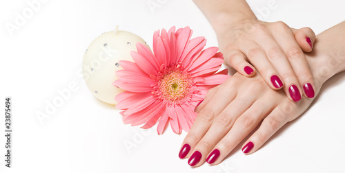 Bright manicure  pink daisy and white candle isolated