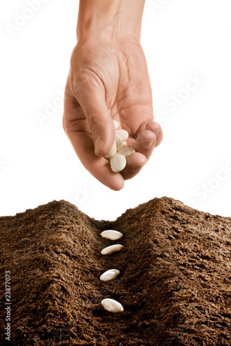 Bilde på lerret farmer seeding