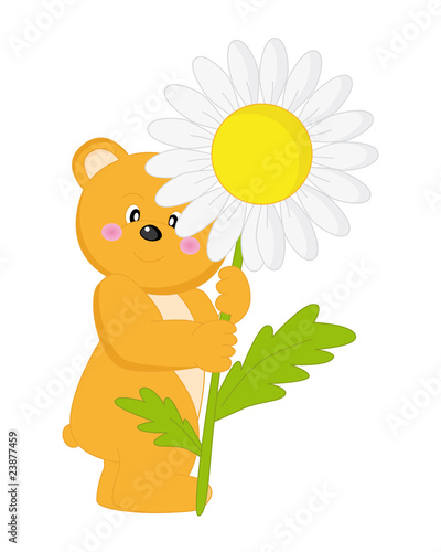 Oso con una flor