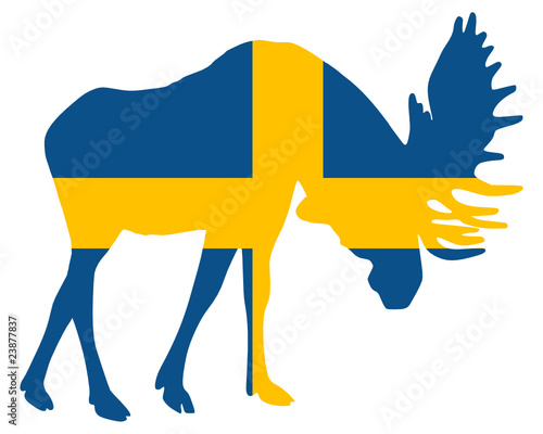 Kämpfender Elch