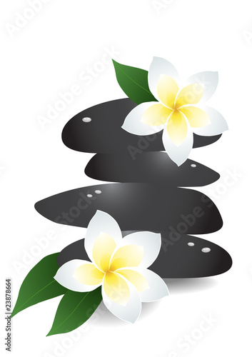 Vector illustration of zen stones with frangipani flower
