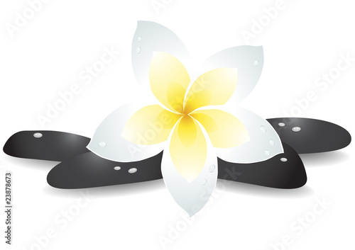 Vector illustration of stones with flower