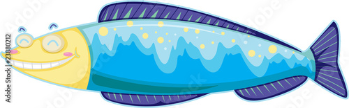 A Fish
