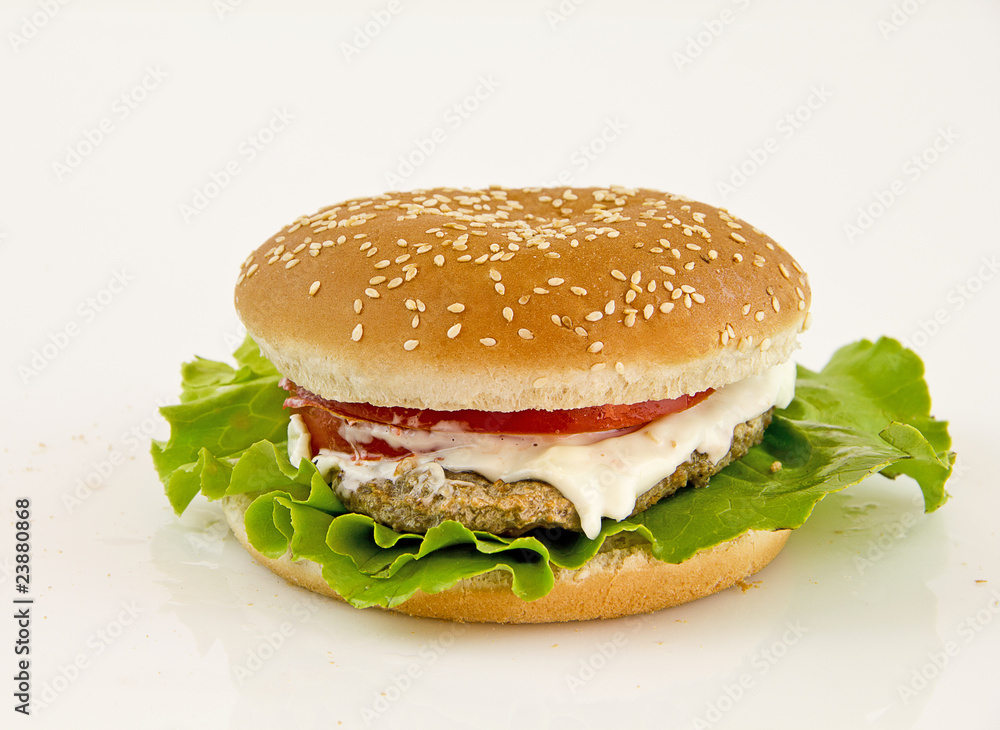 panino panino