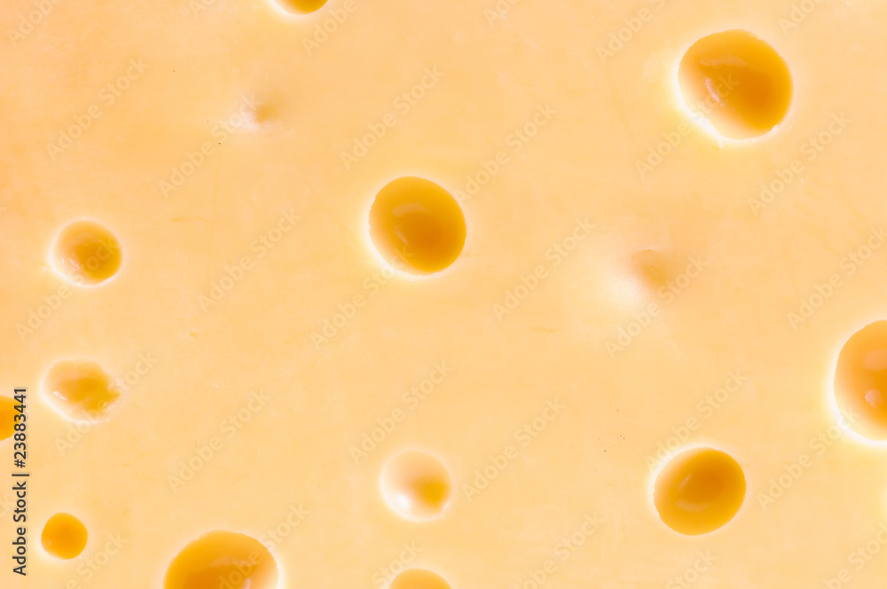 Piece of tasty cheese Piece of tasty cheese
