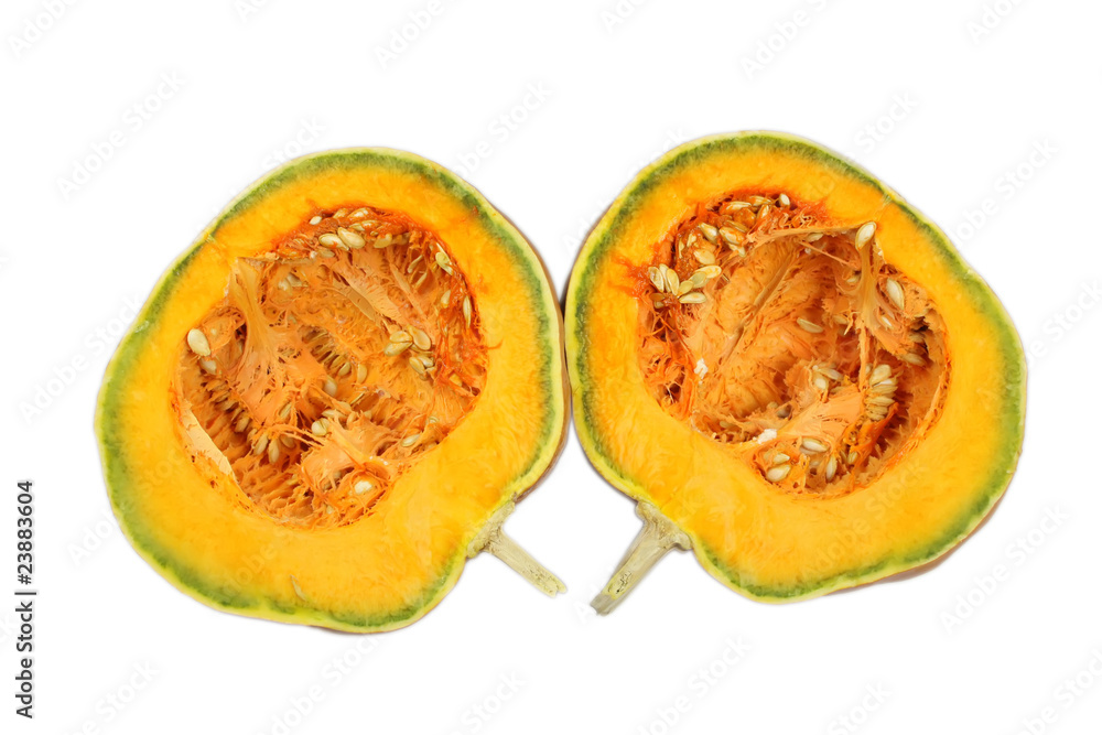 pumpkin pumpkin