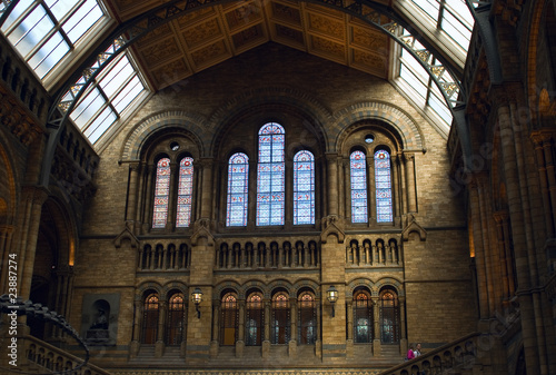 Main hall of the Natural History museum  London