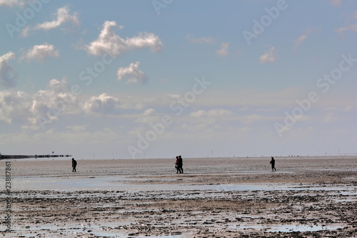 Billede på lærred silhouettes on mudflat