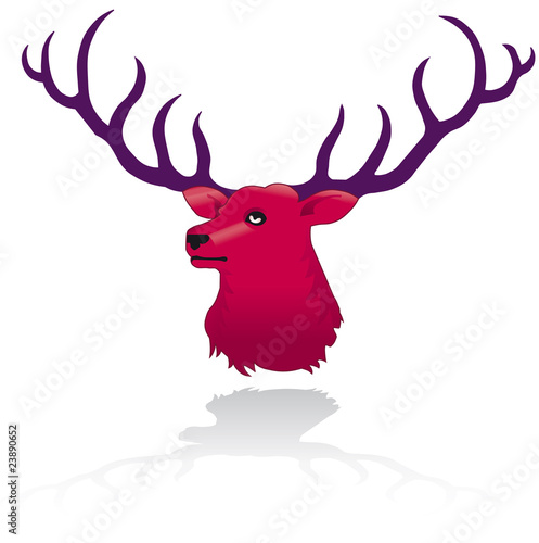 Hirsch 2