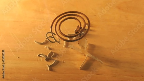 Time lapse mosquito coil burning away. 25 fps