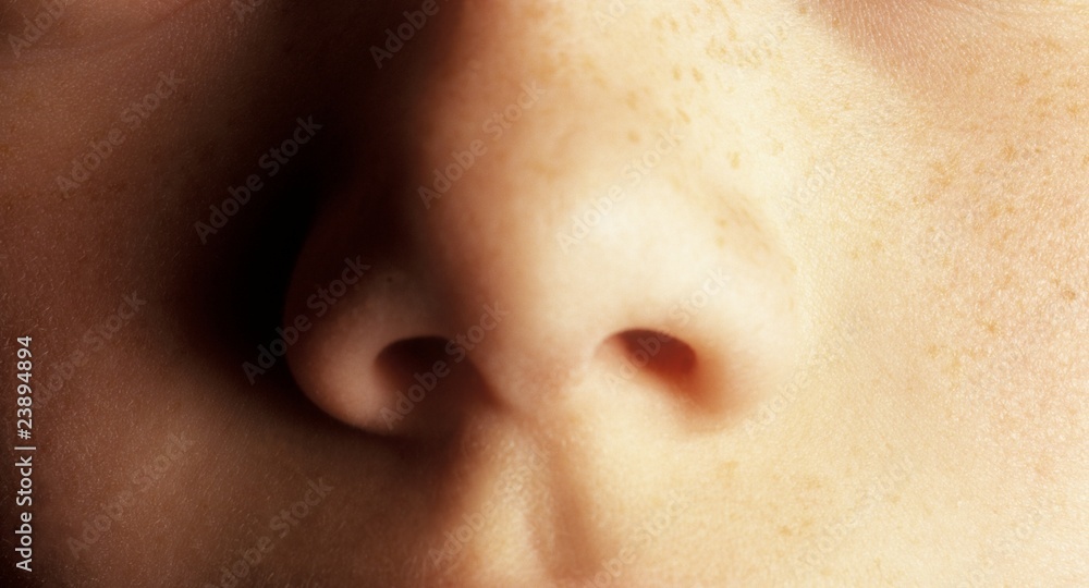 A Nose A Nose