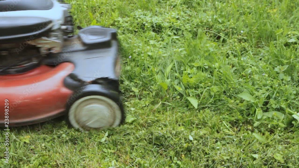 Mowing grass with lawnmower Mowing grass with lawnmower