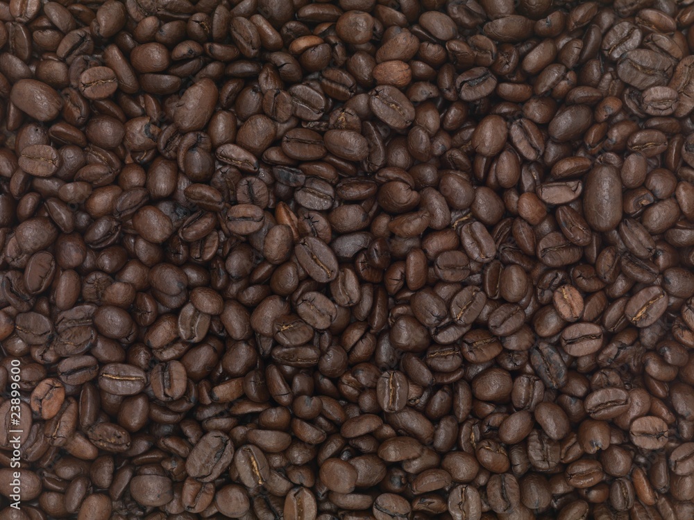 Coffee Beans