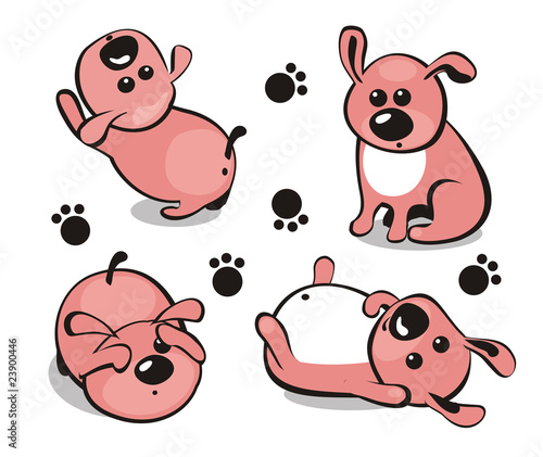 Little puppy in different poses