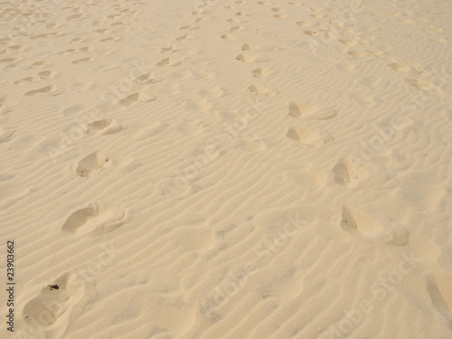 Traces de pas dans la sable