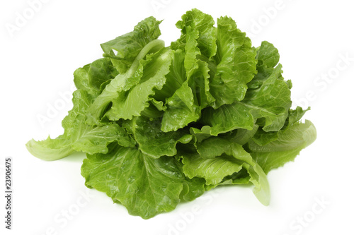 lettuce leaves