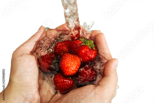 Erdbeeren waschen photo