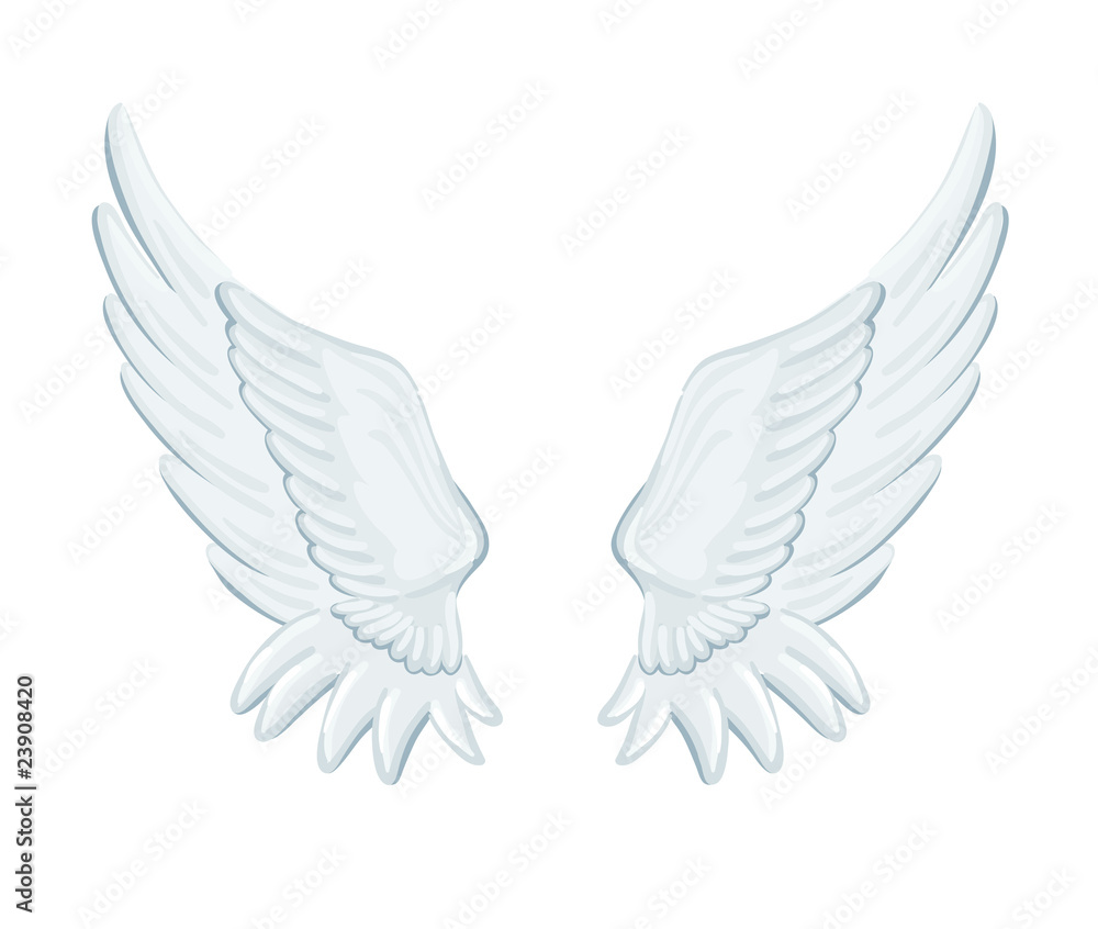 Obraz premium angel wings