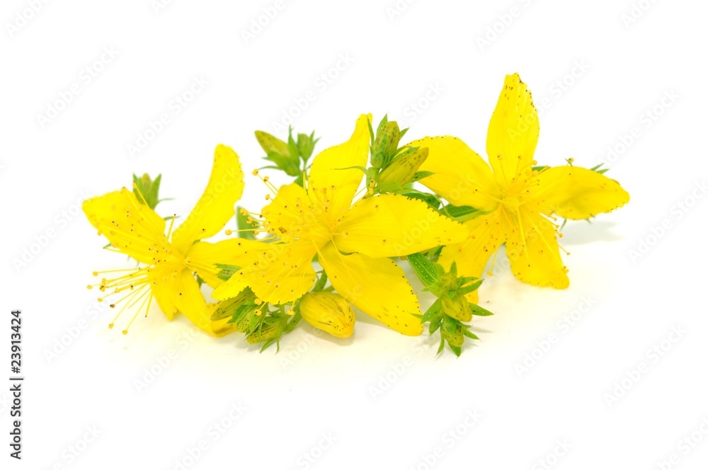 Naturmedizin Naturmedizin