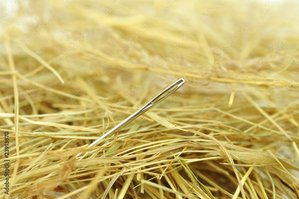 Fototapeta premium Suchen, Nadel