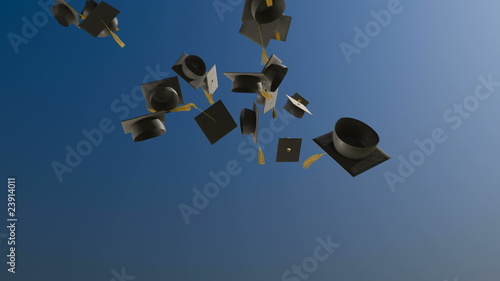 Morter Board Toss