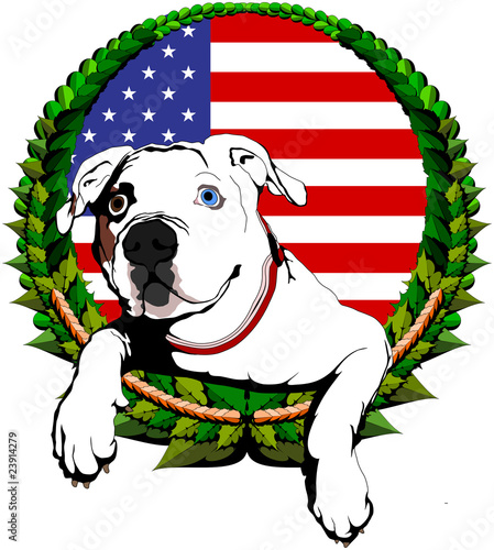 American bulldog with American flag