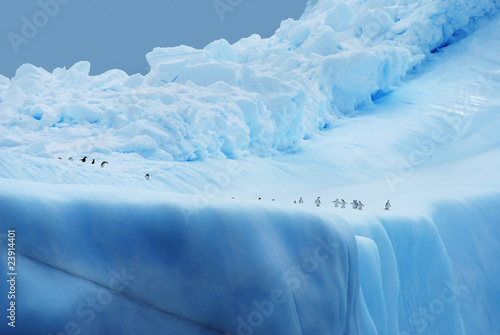 Penguins on Ice © bluesun