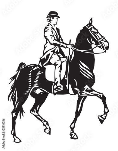dressage