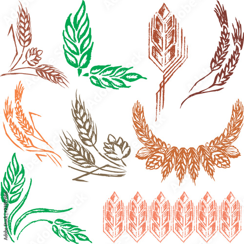 creative wheat ears