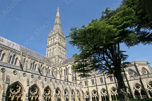 Salisbury cathedral photo