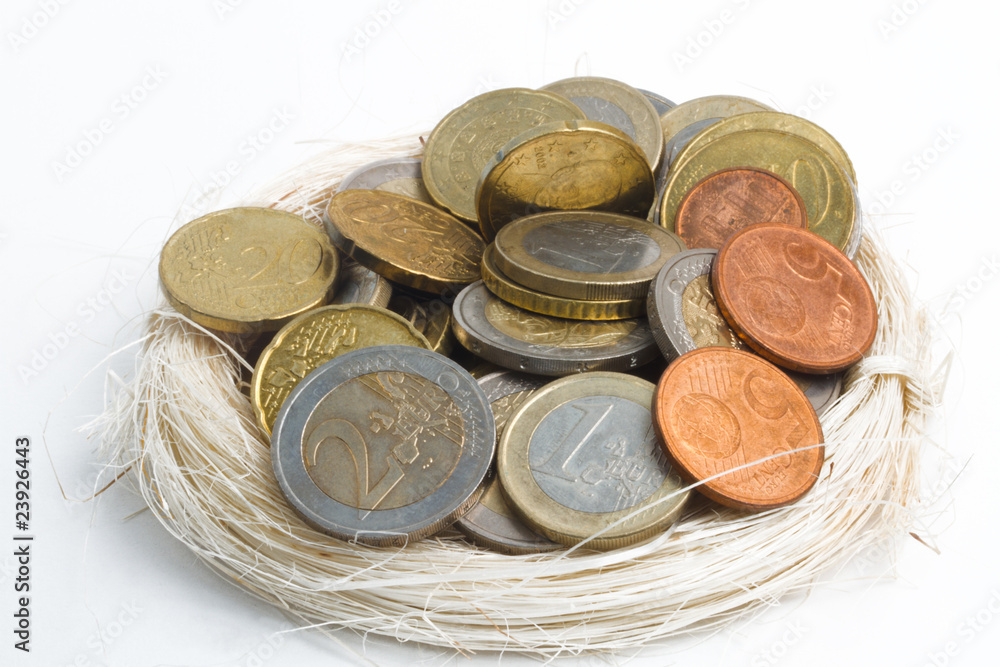 diverse Euromünzen gut behütet in einem Nest im Querformat diverse Euromünzen gut behütet in einem Nest im Querformat