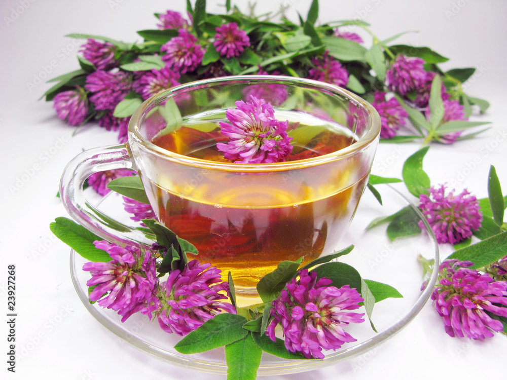 herbal tea with clover extract herbal tea with clover extract
