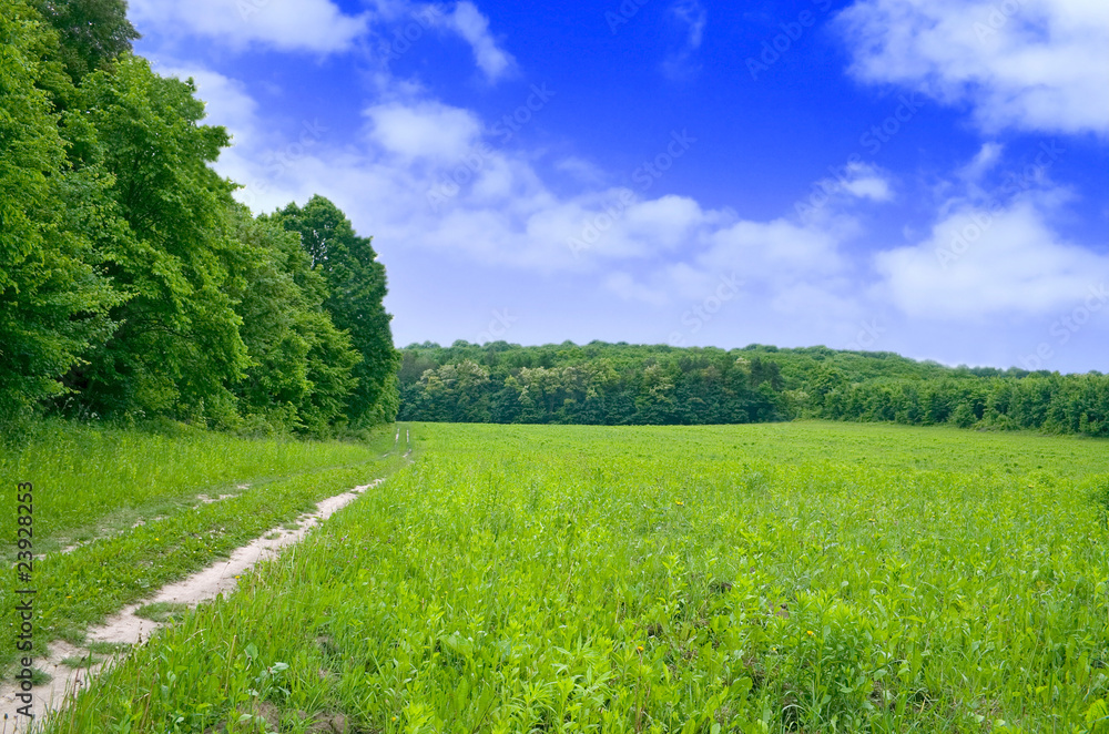 Nature Nature