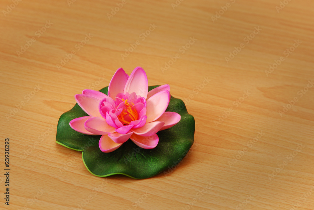 A pink artificial waterlilly A pink artificial waterlilly