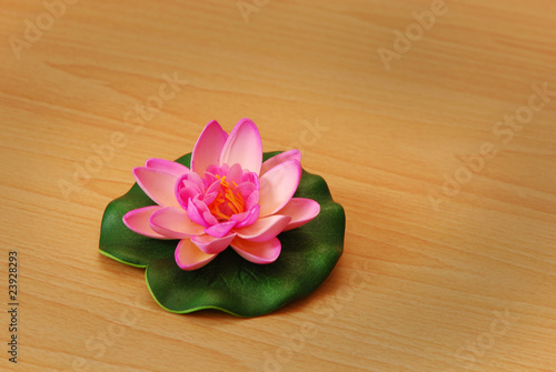 A pink artificial waterlilly