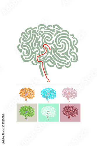 brain maize illustration