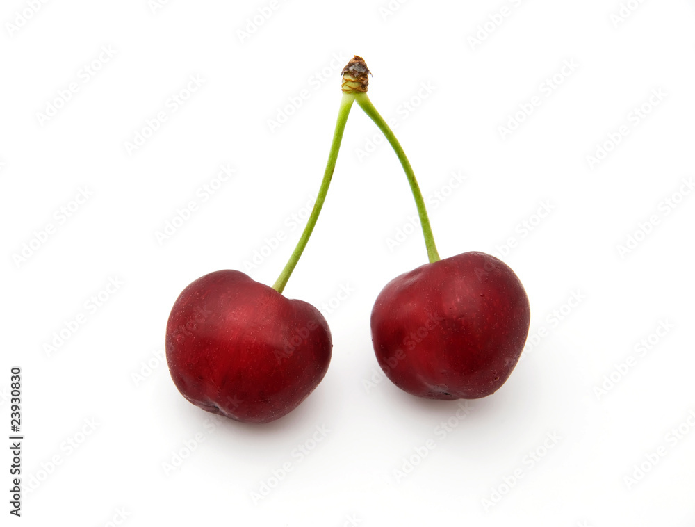 two isolated red cherries two isolated red cherries