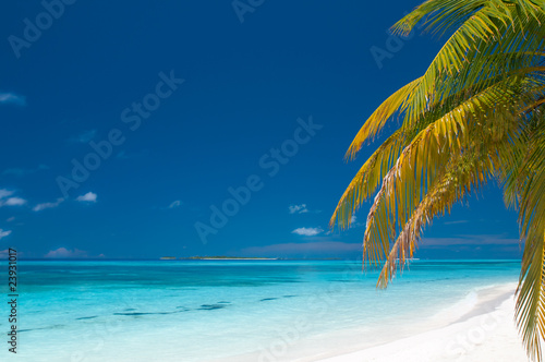 Fototapeta Naklejka Na Ścianę i Meble -  einsamer tropischer Strand