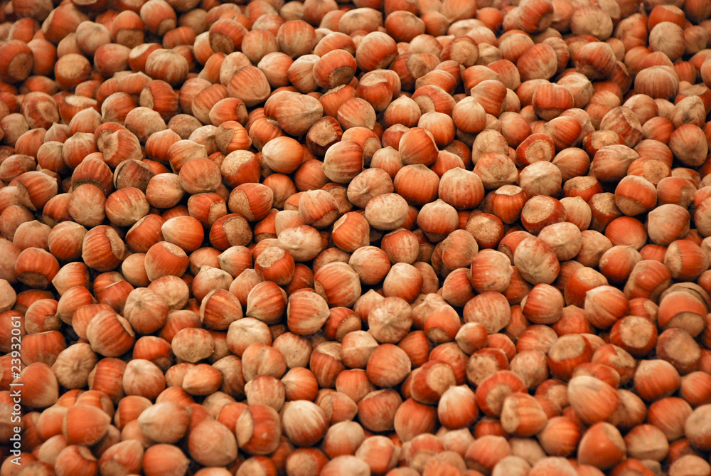 Hazelnuts. Hazelnuts.